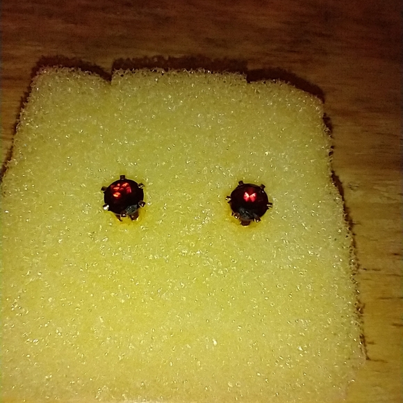 Earnings - Picture 1 of 12